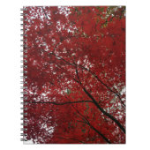 Carnet Tree Fall Season Red Brown Autumn Leaves (Devant)