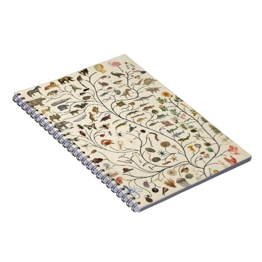 Carnet Tree of Life (Côté Droit)