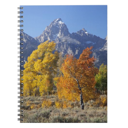 Carnet Trembles avec la chaîne de montagnes Teton (Devant)