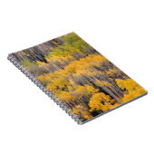 Carnet Trembles | Forêt nationale de White River (Côté Droit)