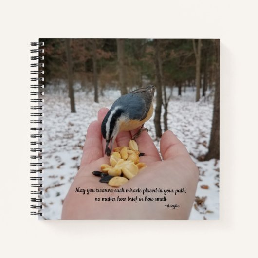 Carnet Trésor Chaque Miracle - Oiseau (Devant)