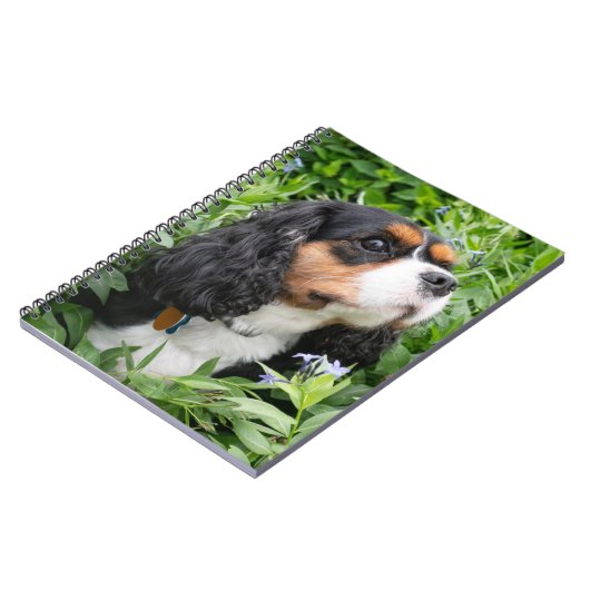 Carnet Tri Couleur Cavalier King Charles Spaniel Chien (Côté gauche)