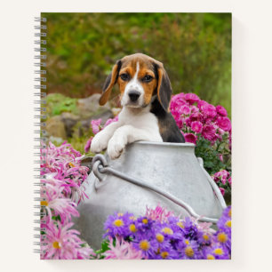 Carnet Tricolore mignon Beagle Chien Chien Chiot Pet dans