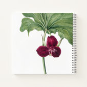 Carnet Trillium Botanical (Dos)