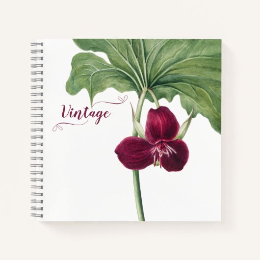 Carnet Trillium Botanical (Devant)