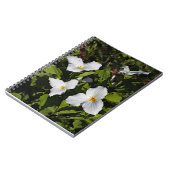 Carnet Trillium grandiflorum, la péninsule supérieure du  (Côté gauche)