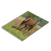 Carnet Trimestre Cheval en Champ de Fleur sauvage (Côté gauche)