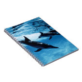 Carnet Trio de dauphins (Côté Droit)