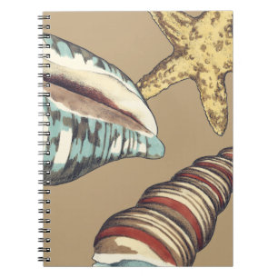 Carnet Trio de Shell sur kaki