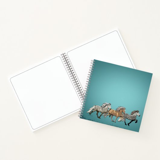 Carnet Trio en Tölt - Chevaux islandais (Intérieur)