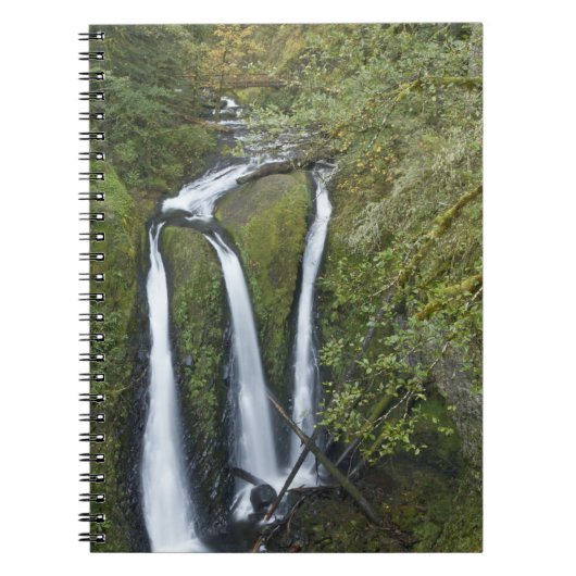 Carnet Triple Falls, Columbia River Gorge (Devant)