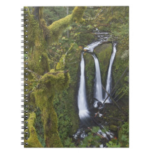 Carnet Triple Falls, gorge du Columbia