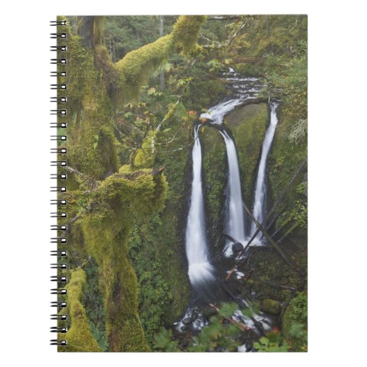 Carnet Triple Falls, gorge du Columbia (Devant)