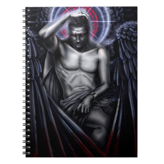 Carnet Triste Sympathie Pour Le Diable (Devant)