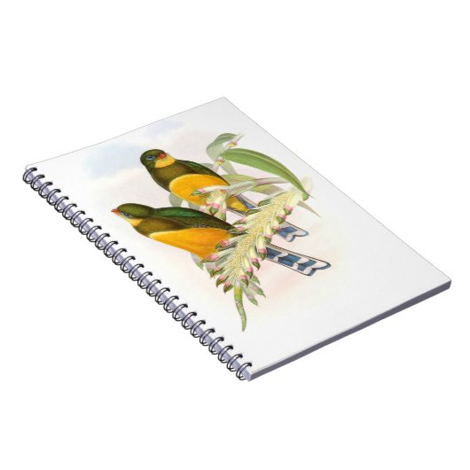 Carnet Trogon de Macklot, (Côté Droit)