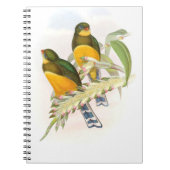 Carnet Trogon de Macklot, (Devant)