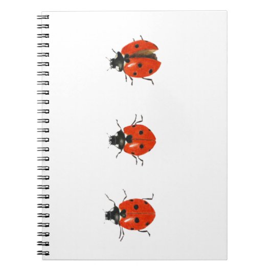Carnet Trois coccinelles 2013 (Devant)