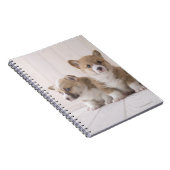 Carnet Trois Corgi gallois (Côté Droit)