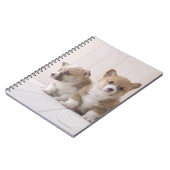 Carnet Trois Corgi gallois (Côté gauche)