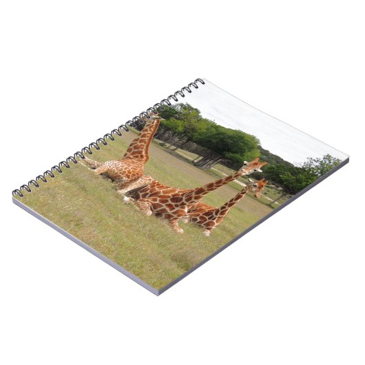 Carnet Trois girafe à Fossil Rim (Côté gauche)