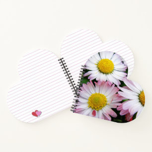 Carnet Trois marguerites rose et blanc