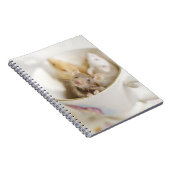 Carnet Trois petites souris (Côté Droit)