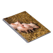 Carnet Trois petits cochons (Côté Droit)