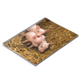 Carnet Trois petits cochons (Côté gauche)