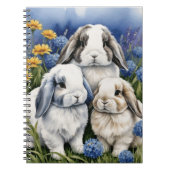 Carnet Trois petits lapins lapins de lapin de lop (Devant)