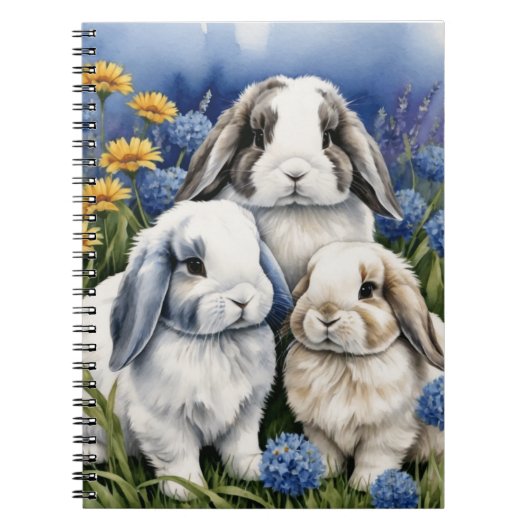 Carnet Trois petits lapins lapins de lapin de lop (Devant)