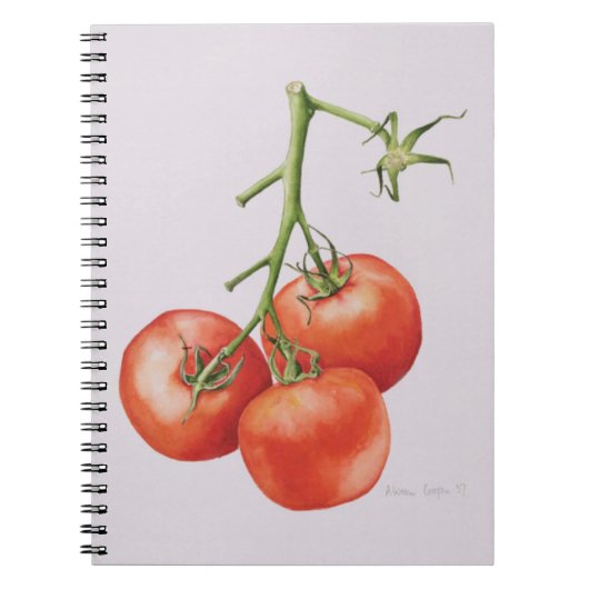 Carnet Trois tomates sur la vigne 1997 (Devant)