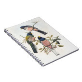 Carnet Trois Trogons Vibrants Posés sur une Branche Art d (Côté Droit)
