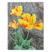 Carnet Trois Tulipes Jaunes Séquence / Spirale (Devant)