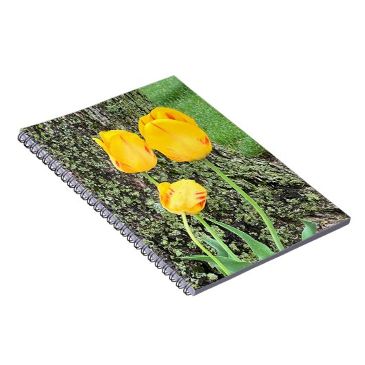 Carnet Trois Tulipes Jaunes / Spirale (Côté Droit)