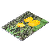 Carnet Trois Tulipes Jaunes / Spirale (Côté gauche)