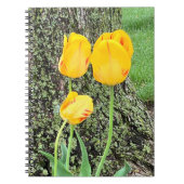 Carnet Trois Tulipes Jaunes / Spirale (Devant)