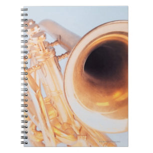 Carnet Trompette détaillée 2