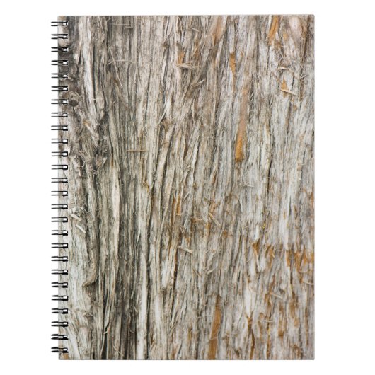 Carnet Tronc d'arbre (Devant)