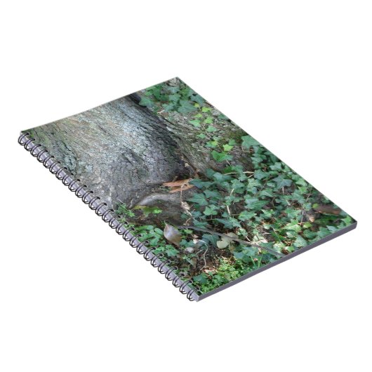 Carnet Tronc d'arbre et lierre en forêt (Côté Droit)