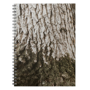 Carnet Tronc d'arbre gris
