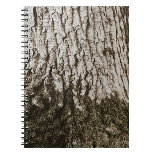 Carnet Tronc d'arbre gris (Devant)