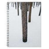 Carnet Troncs d'arbre dans la neige (Devant)