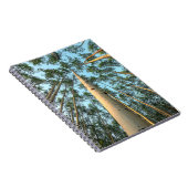 Carnet Troncs et feuilles de tremble, Yukon (Côté Droit)
