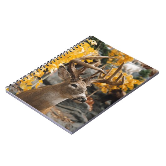 Carnet Trophée Deer (Côté gauche)