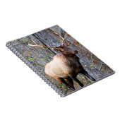 Carnet Trophy Elk (Côté Droit)