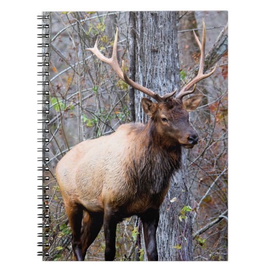 Carnet Trophy Elk (Devant)