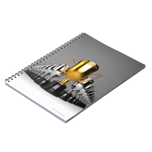 Carnet Trophys en argent 3 (Côté gauche)