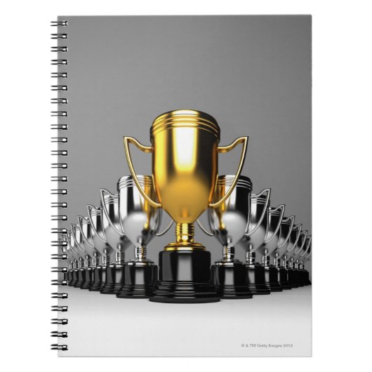 Carnet Trophys en argent 3 (Devant)