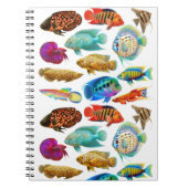 Carnet tropical de poissons d'aquarium (Devant)