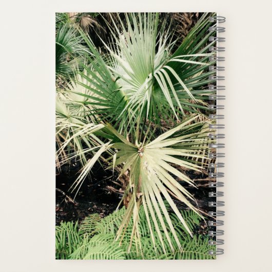 Carnet Tropical Graphic Palm Tree (Verso)